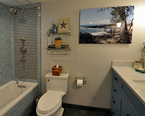 bathroom in basement remodel