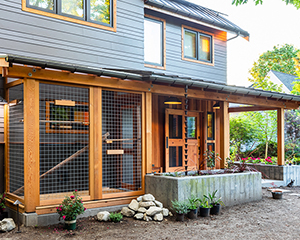 closeup of catio and back door