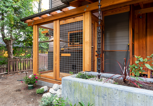 additonal views of catio